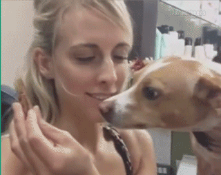 Daily GIFs Mix, part 443