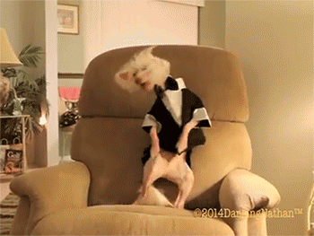 Daily GIFs Mix, part 443