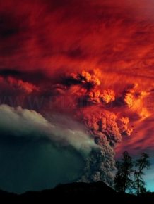 Chile's Puyehue Volcano Erupts 