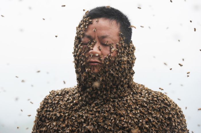 460,000 Bees