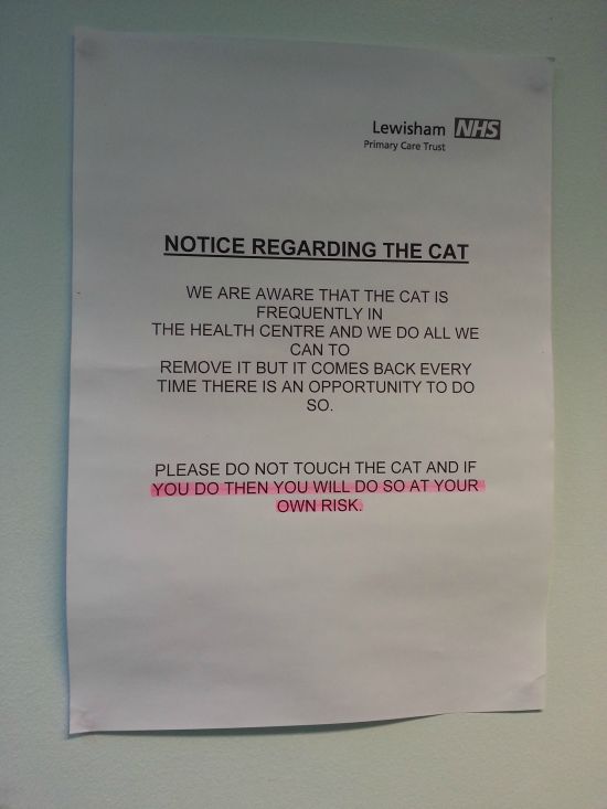 Notice Regarding The Cat