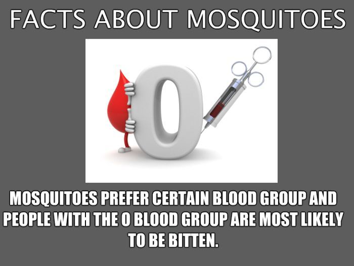 Facts About Mosquitos