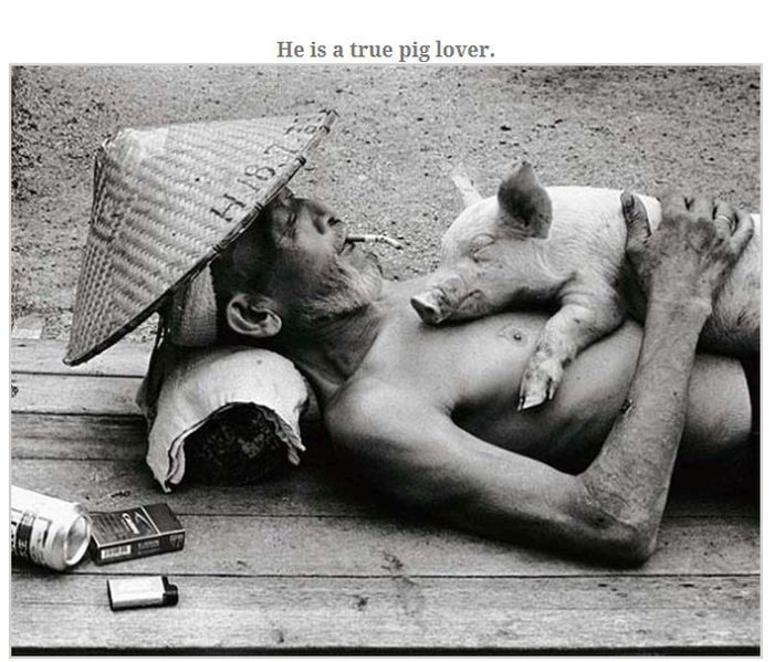 Farmer Who Loves His Pigs