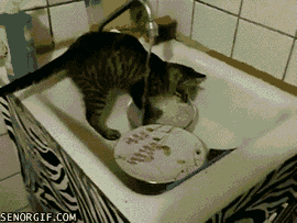 Daily GIFs Mix, part 449
