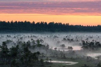 See The Amazing Outdoors Of Estonia