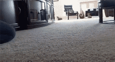 Daily GIFs Mix, part 460