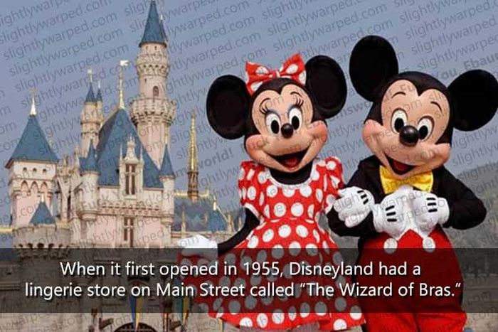 50 Things You Didn't Know About Disney Theme Parks