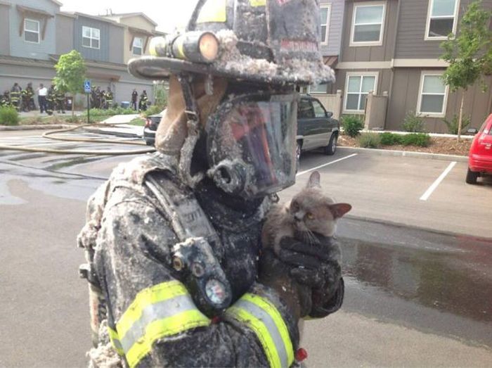Some Of The Bravest Firefighters You'll Ever See