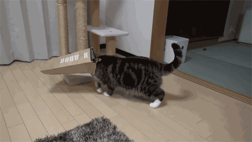 Daily GIFs Mix, part 463