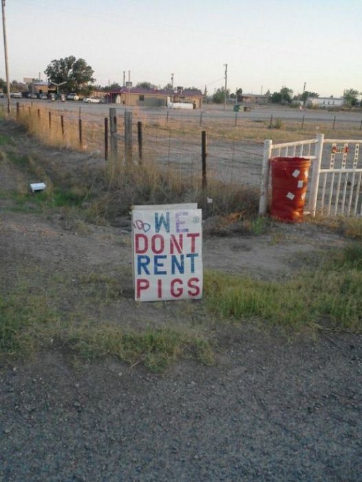 WTF Signs, part 45