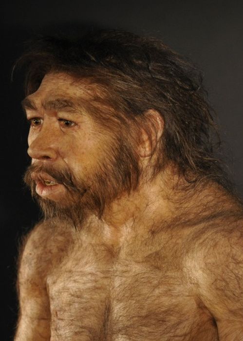 Hominid Reconstructions Are A Blast From The Past