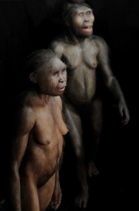 Hominid Reconstructions Are A Blast From The Past