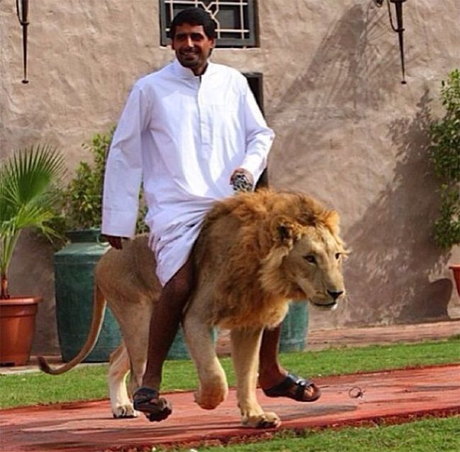 The Ridiculous Lives Of Rich People In Dubai