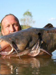 Would You Noodle These Giant Catfish?