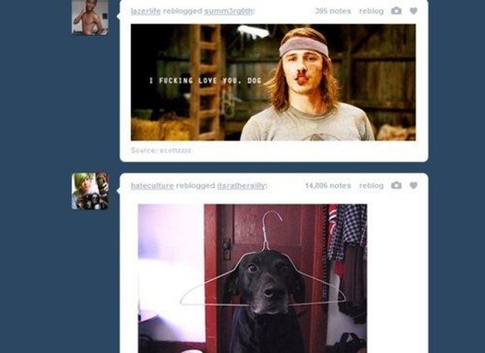 These Tumblr Posts Were Perfectly Timed