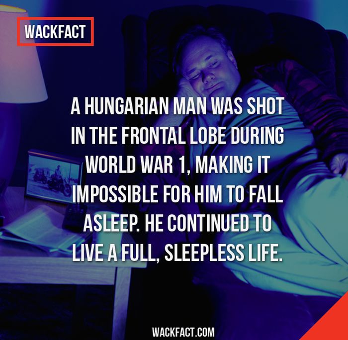 Wack Facts That Might Blow Your Mind
