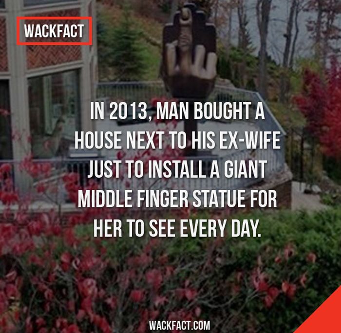 Wack Facts That Might Blow Your Mind