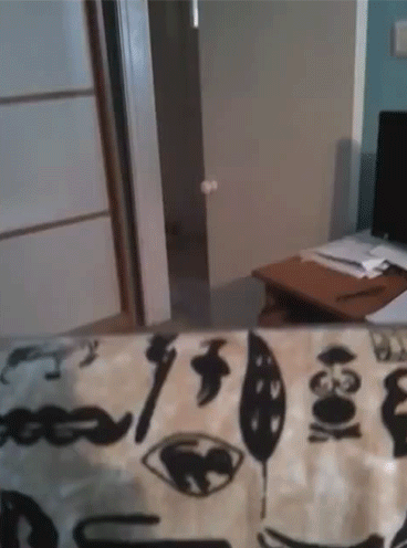 Daily GIFs Mix, part 470