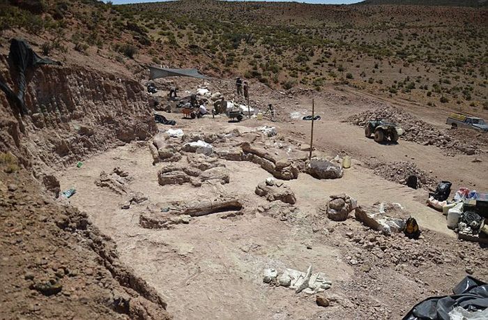 Largest Dinosaur Ever Gets Discovered In Argentina