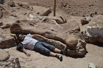 Largest Dinosaur Ever Gets Discovered In Argentina