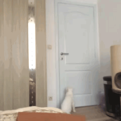 Daily GIFs Mix, part 471