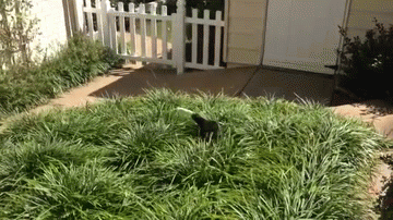 Daily GIFs Mix, part 472