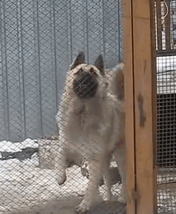 Daily GIFs Mix, part 472