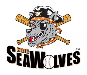 MLB Team Logos From The Minor Leagues