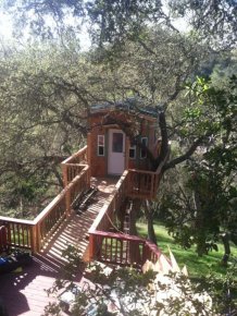 Is This The Coolest Tree House Ever?