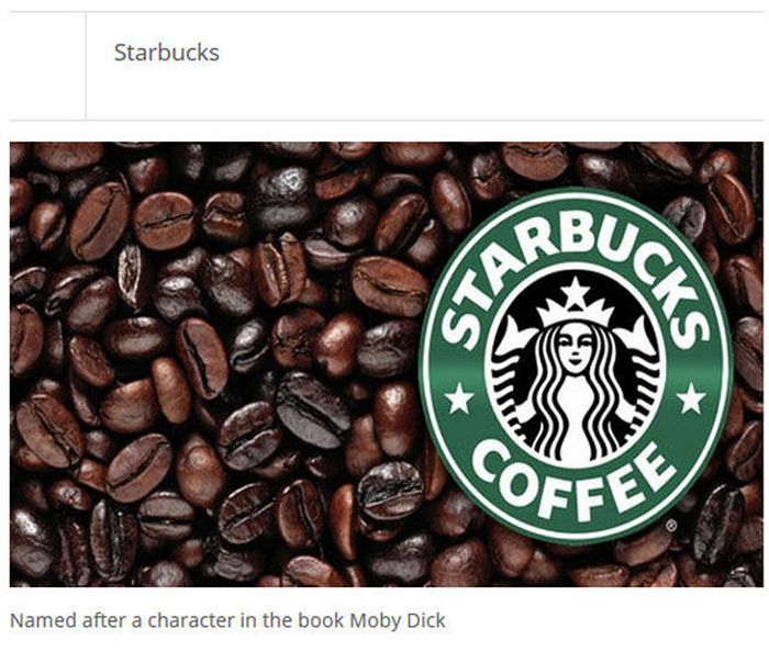 Find Out How Famous Companies Got Their Names