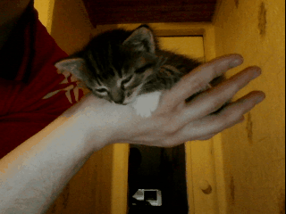 Daily GIFs Mix, part 476