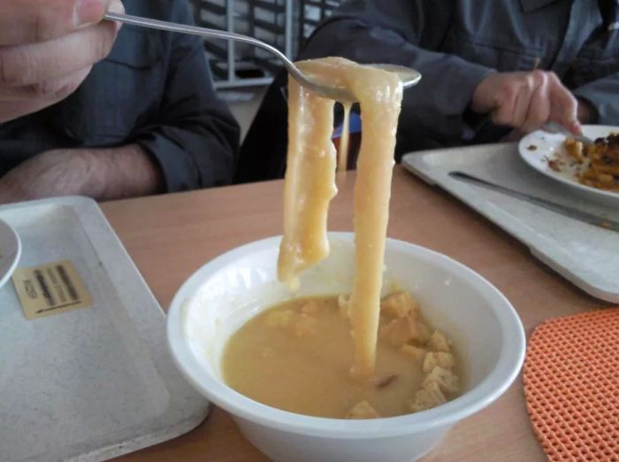 See The Gross Meals Hungarian Schools Serve