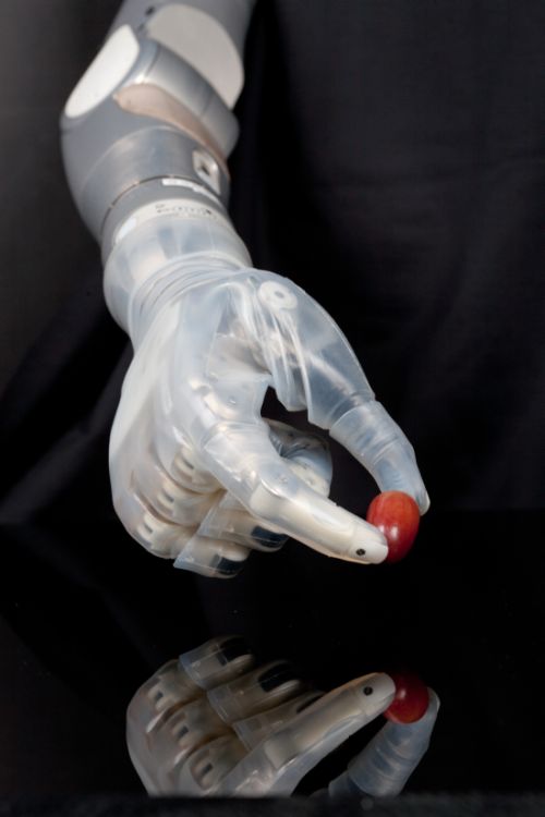Robotic Arms Aren't Science Fiction Anymore