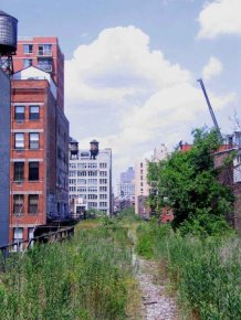 Photos Of The High Line Abandoned Railway