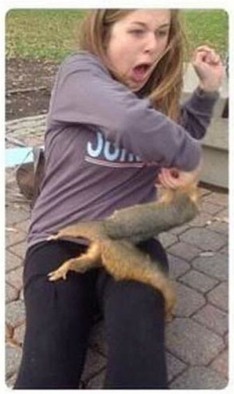 Squirrel Sinks His Teeth Into Innocent Woman