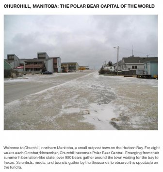 What Life Is Like In The Polar Bear Capital Of The World