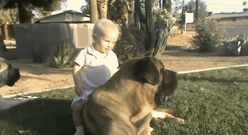 Daily GIFs Mix, part 485