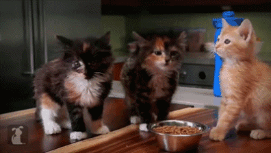 Daily GIFs Mix, part 486