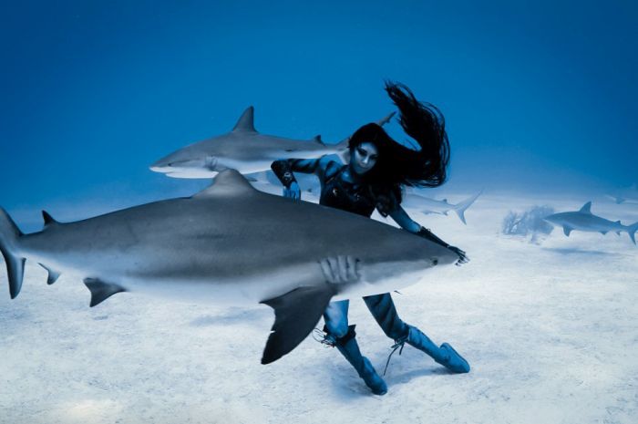Amazing Underwater Photoshoot With A Shark