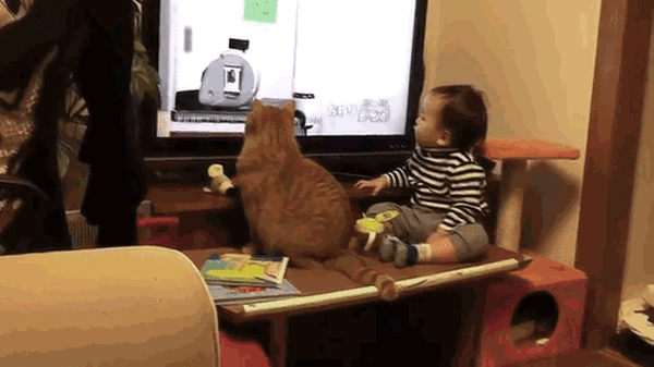 Daily GIFs Mix, part 487