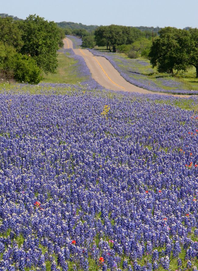 Texas Is Actually A Lot Prettier Than You Think
