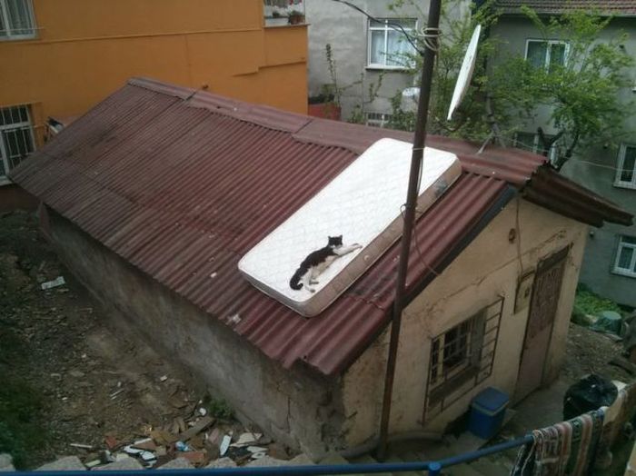 Russians Have Their Own Unique Way Of Doing Things