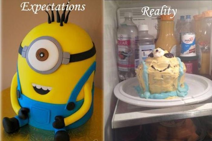 The Best Of Expectations Vs Reality