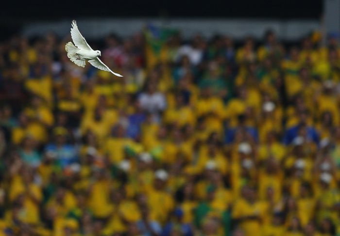 Perfectly Timed Pictures From The World Cup