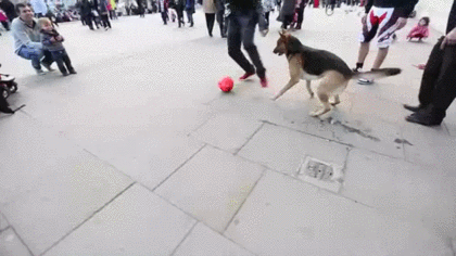 Daily GIFs Mix, part 491