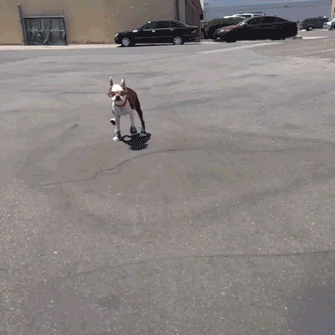 Daily GIFs Mix, part 493