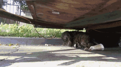 Daily GIFs Mix, part 494