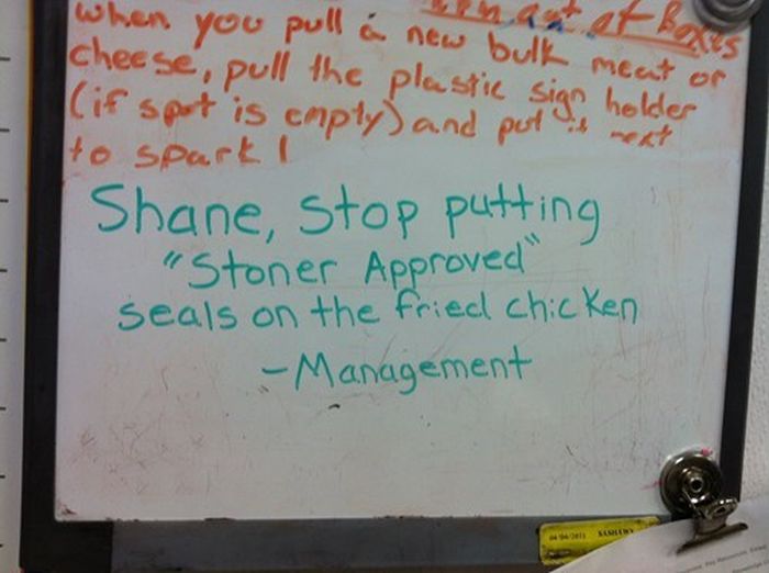 Shane Teaches You How To Do Work Right