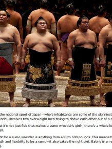 The Daily Diet Of A Sumo Wrestler