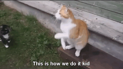 Daily GIFs Mix, part 498